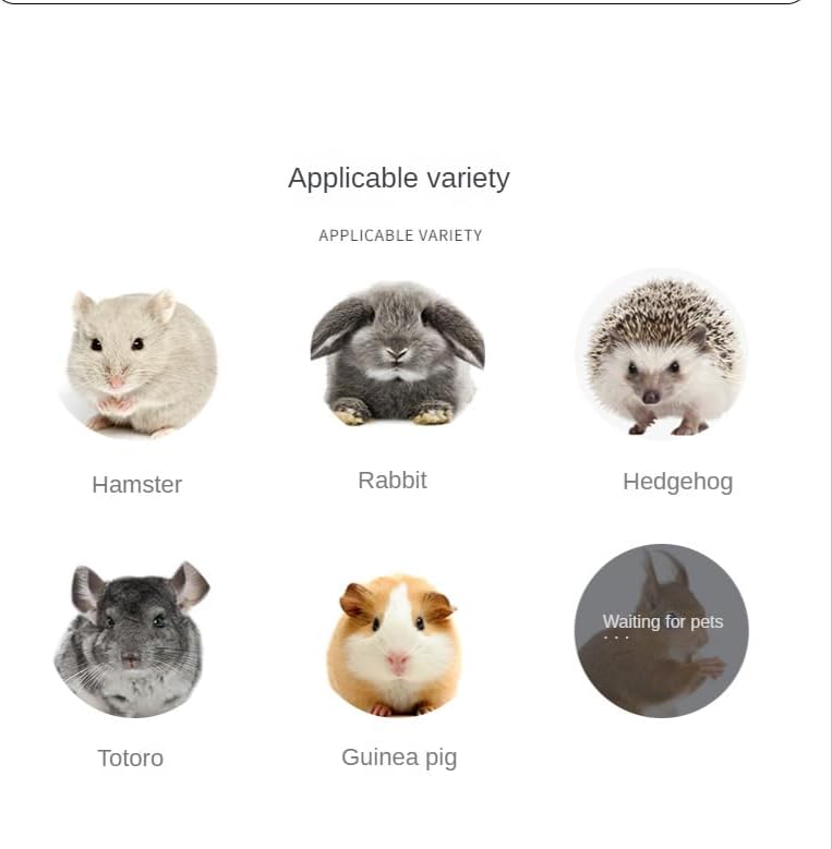 Hamster Food Pet Snacks for Small Rodents Yogurt Sandwich