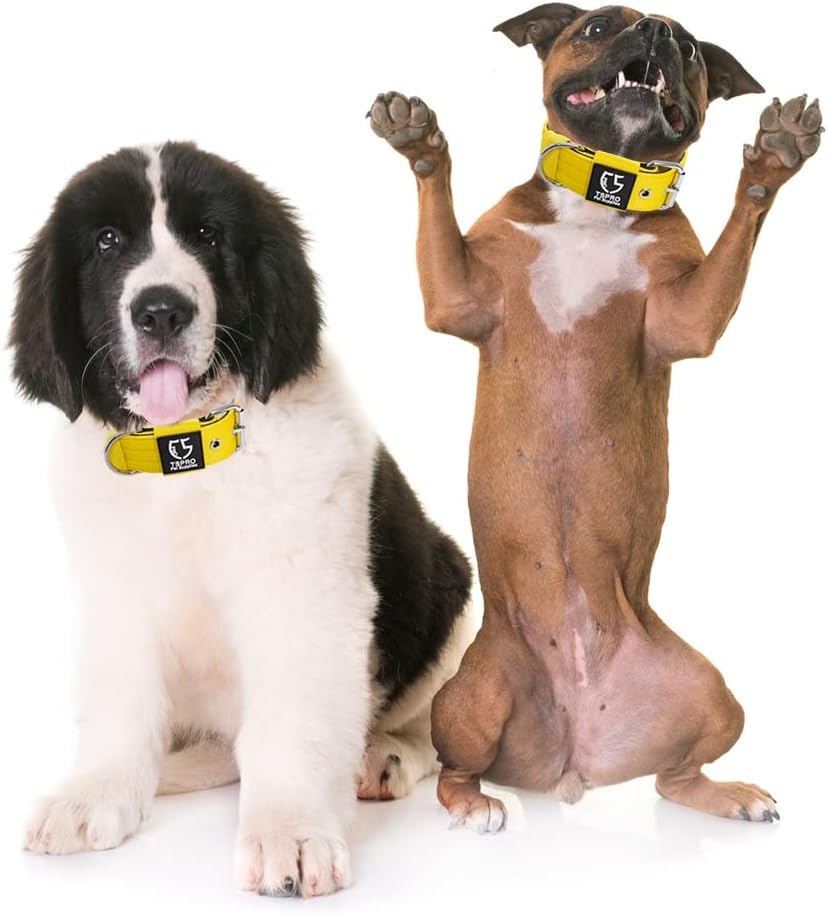 TSPRO Tactical Dog Collar 1.5 Inch Wide Thick Dog Collars with Heavy Duty Metal Buckle, Durable, Strong, Adjustable for Medium to Large Dogs (Yellow M)