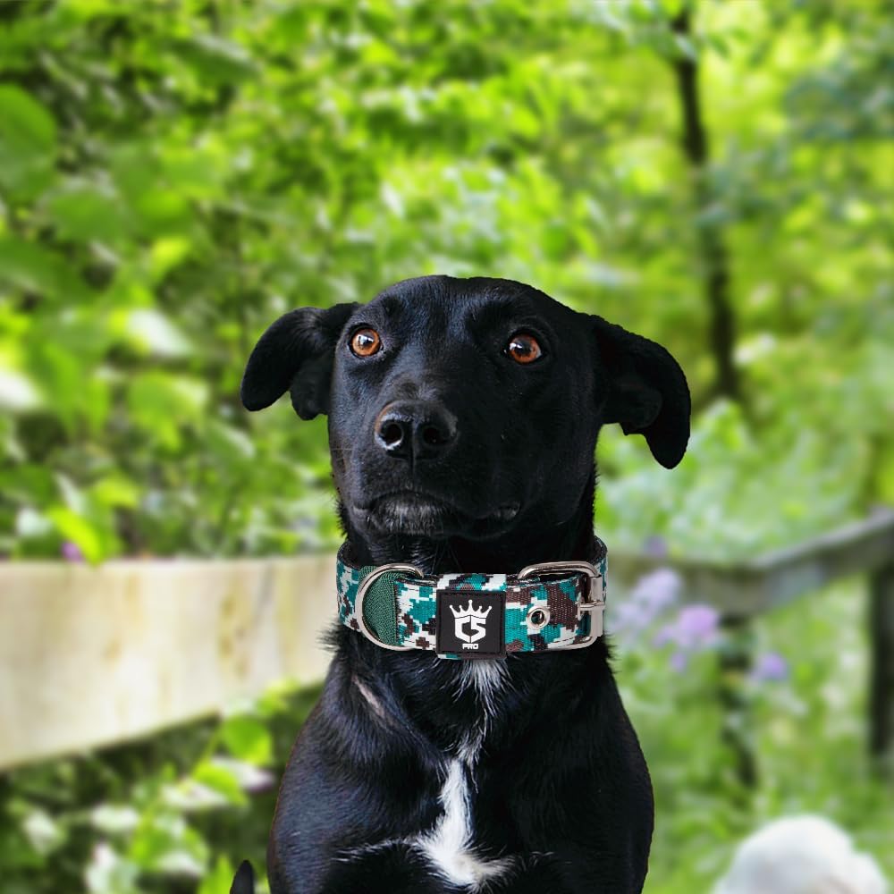 TSPRO Tactical Dog Collar 1.25 Inch Wide Thick Dog Collars with Heavy Duty Metal Buckle, Durable, Strong, Adjustable for Small Dogs (Camo Cyan S)