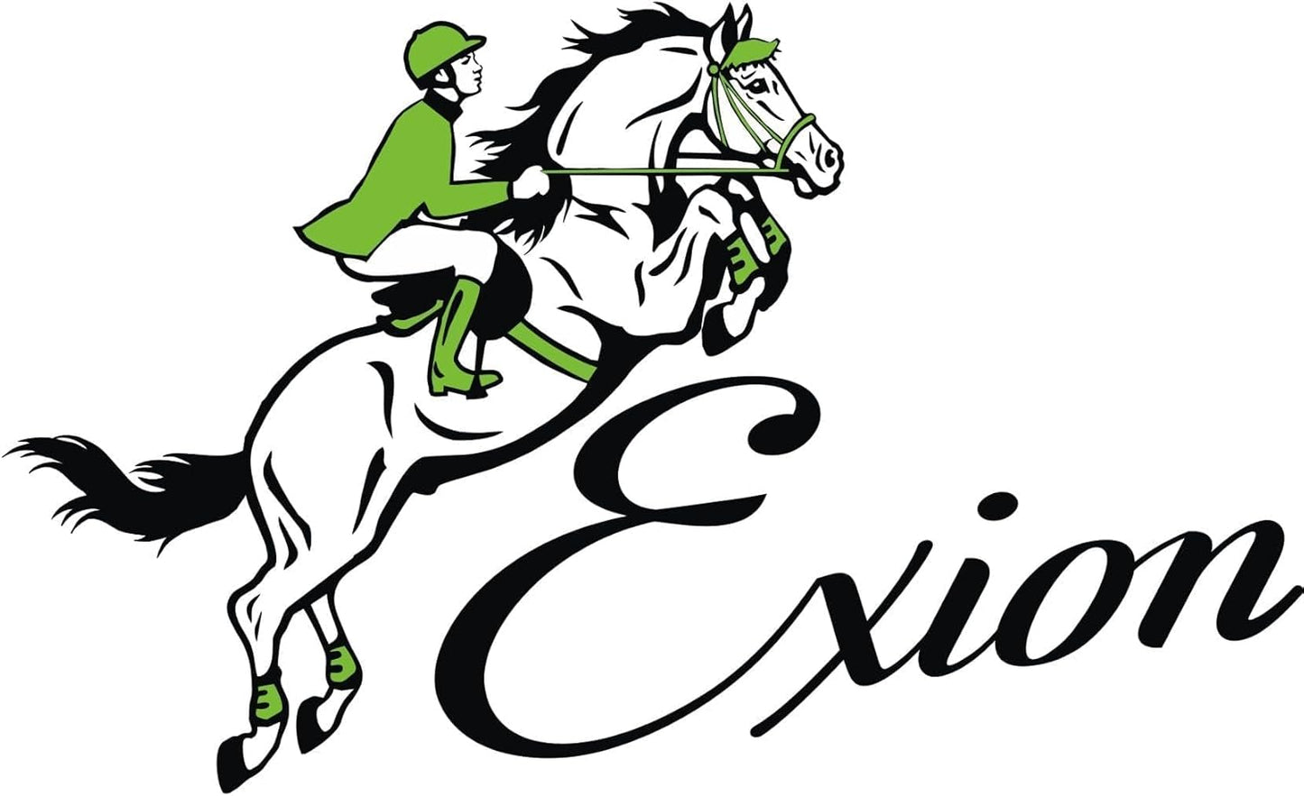 Exion Leather Horse Halter with Padding & Clincher Studs – Adjustable Quick‑Release Crownpiece Halter for Horses – Vegetable‑Tanned Leather in Black & Brown – Cob, Full & Oversize