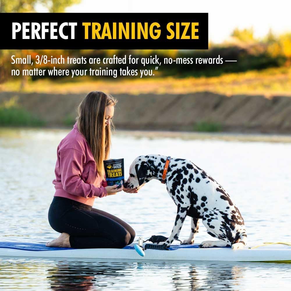 High Country Wild Blueberry Elk & Venison Dog Training Treats - Natural Grain-Free Puppy & Dog Snacks - Protein Treat for Training, Reward - No Fillers, No Artificial Preservatives, 4oz 1 Bag