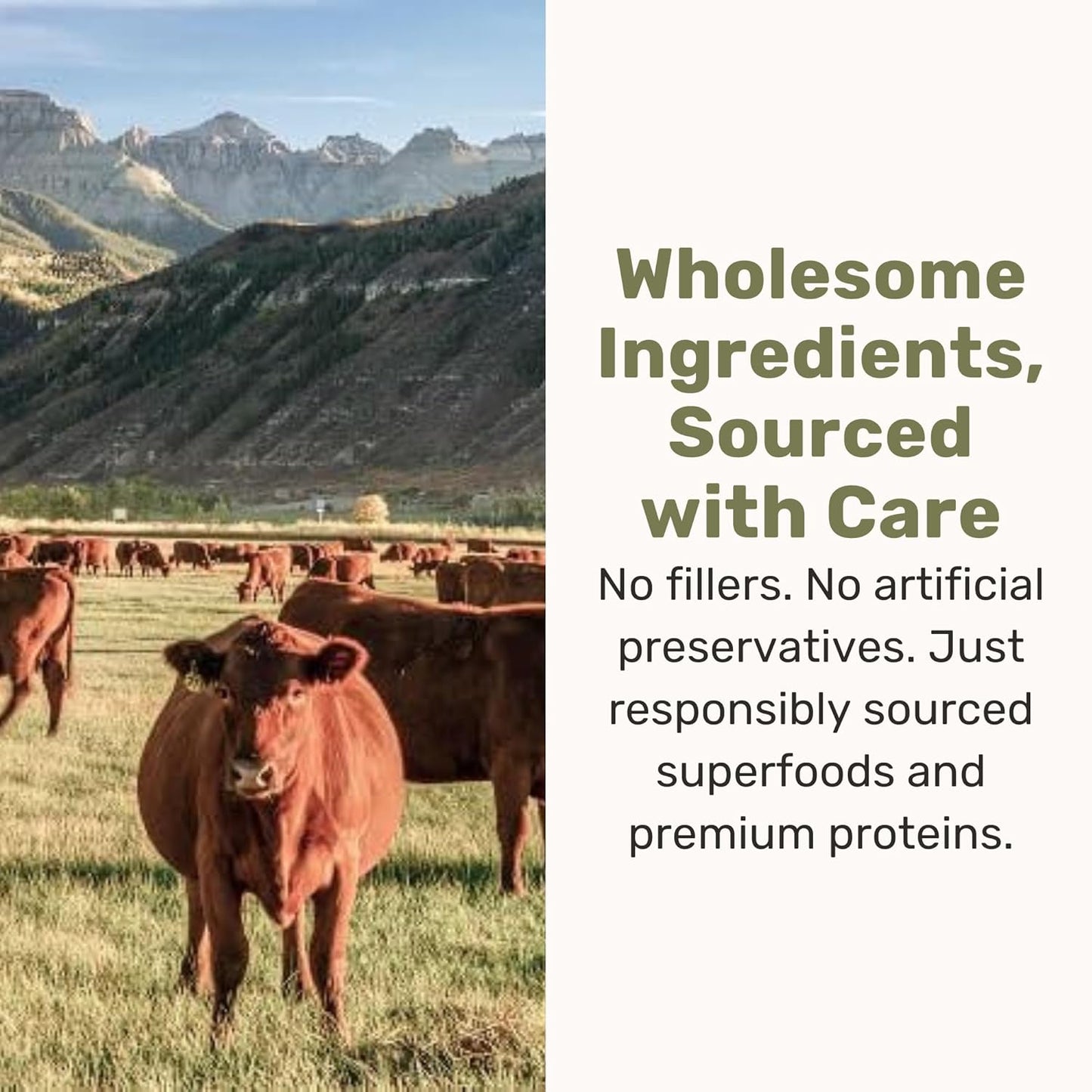 BADLANDS RANCH Superfood Nuggets- Premium, Freeze-Dried raw Dog Food Topper or Treat. Powerful Nutrient-Dense Ingredients. No Artificial additives. Beef Tripe and Kale Formula 8oz - 4pk Bundle