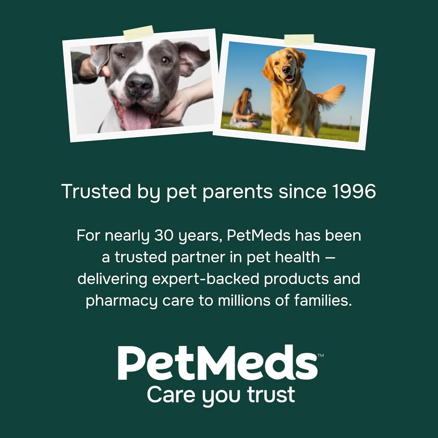 PetMeds Allergy Supplement for Dogs - Vitamins for Allergy Relief with Postbiotics, Colostrum, Quercetin & Turmeric for Dogs Itchy Skin & Scratching - Beef & Sweet Potato Flavor - 60 Soft Chews