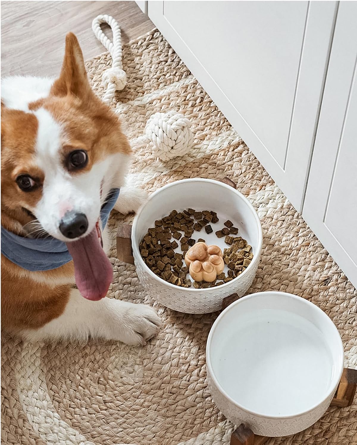 Dog Bowls Ceramic for Small Medium Dogs - 3-Cup Dual Food & Water Bowl Set with Acacia Wood Stand, Non-Slip Anti-Tip Elevated Design