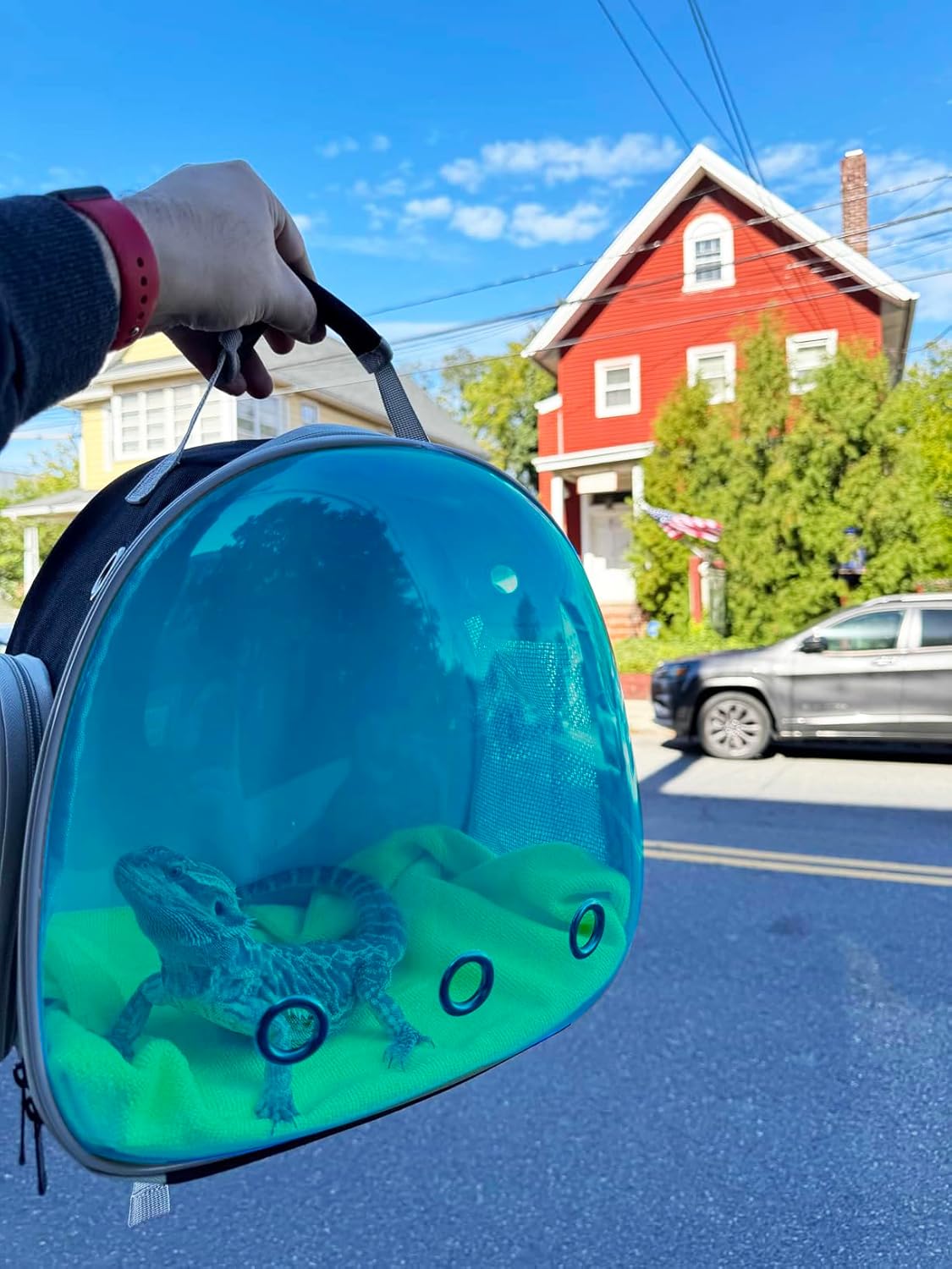 Guinea Pig Carrier, Guinea Pig Backpack with Clear Bubble Window (Black-Blue, Backpack)