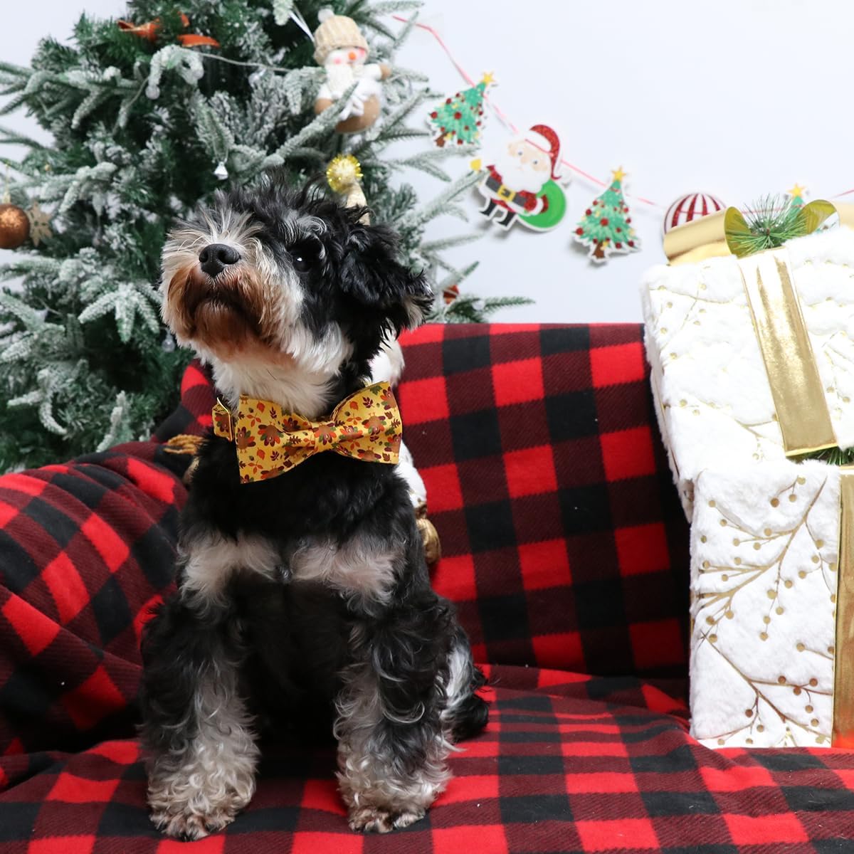 Lionet Paws Thanksgiving Day Dog Collar with Bowtie, Dogs Bowtie Collar with Metal Buckle for Dogs, Adjustable Comfortable Turkey Dog Collars Girl Boy, L, Neck 16-24 in