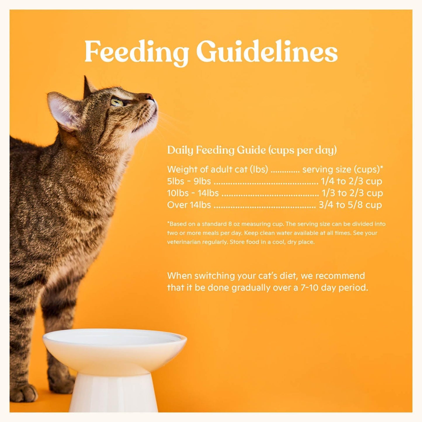Made by Nacho Dry Cat Kibble 2lb Bag, High Protein and Grain-Friendly Premium Cat Food, Sustainably Caught Salmon and Pumpkin, Infused with Bone Broth for Hydration, Limited Ingredients, Single Bag