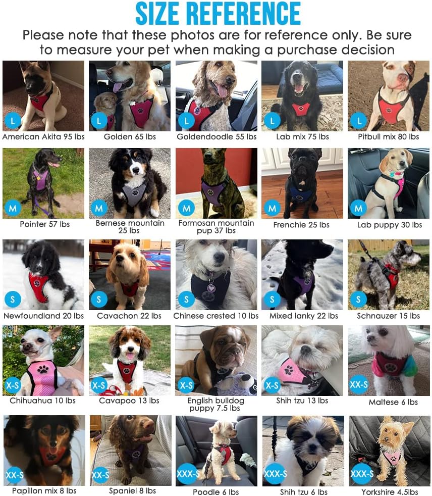 Lukovee Dog Safety Vest Harness with Seatbelt, Seat Belt Adjustable Pet Harnesses Double Breathable Mesh Fabric with Car Vehicle Connector Strap for Dog (Medium, Purple)