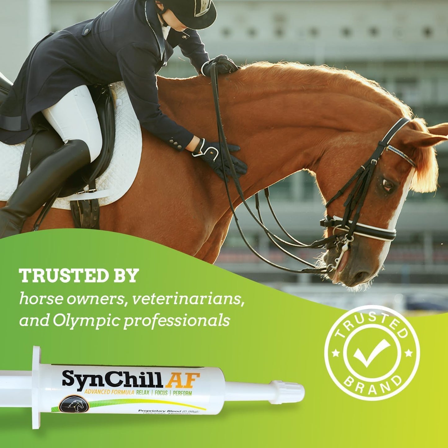 SynChill AF Calming Gel for Nervous Horses - Single Serving - Advanced Formula with L-Theanine, Increased Potency, 100% Natural Supplement, Disposition & Confidence Support for Horses - 12 Pack