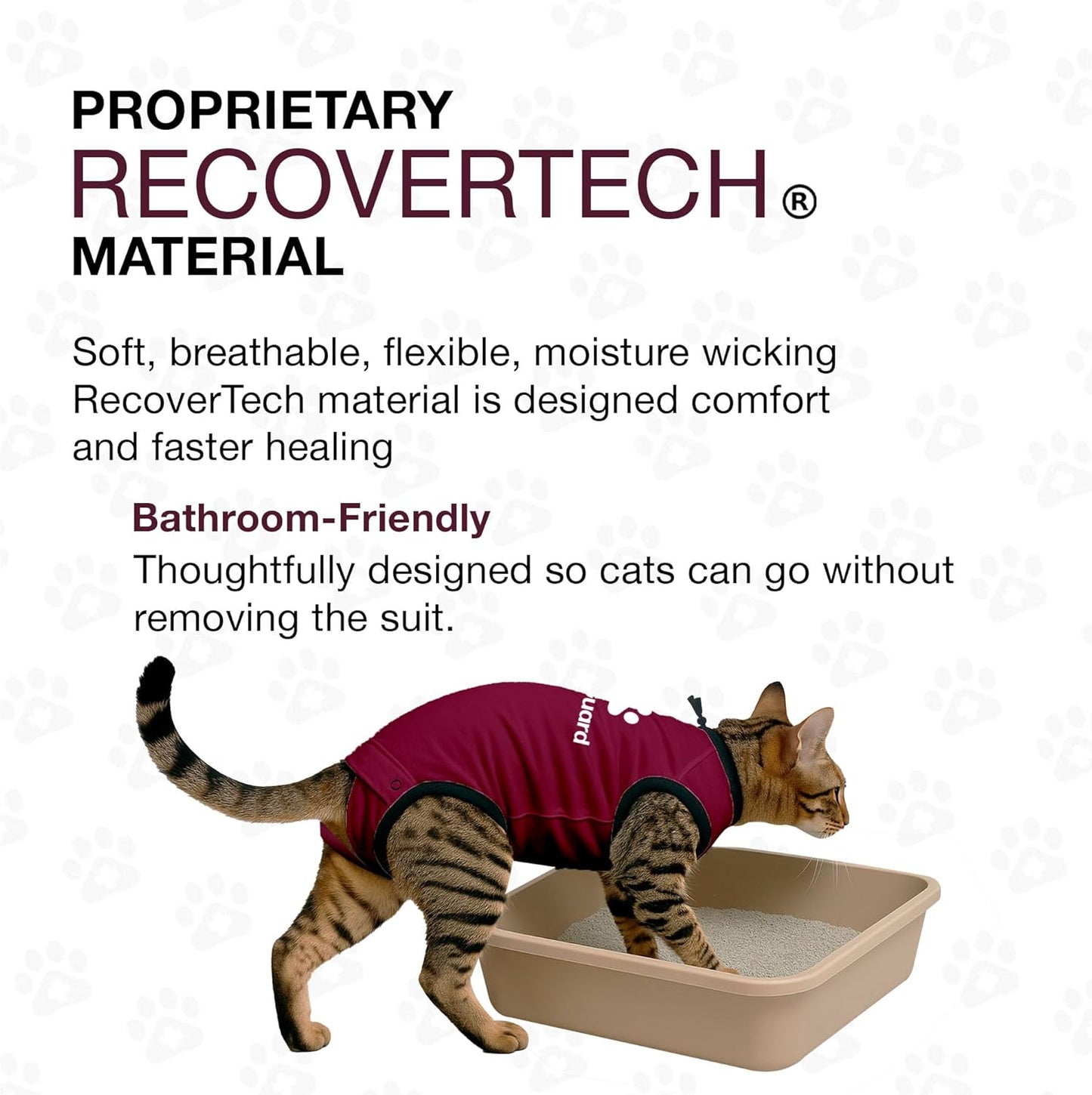 Bellyguard Cat Recovery Suit Female and Male, Comfy Onesie After Surgery, Kitten Clothes for Post-Op Care, Neuter and Spay Healing Outfits for Cats Only – Comfortable Kitten and Adult Cone Alternative