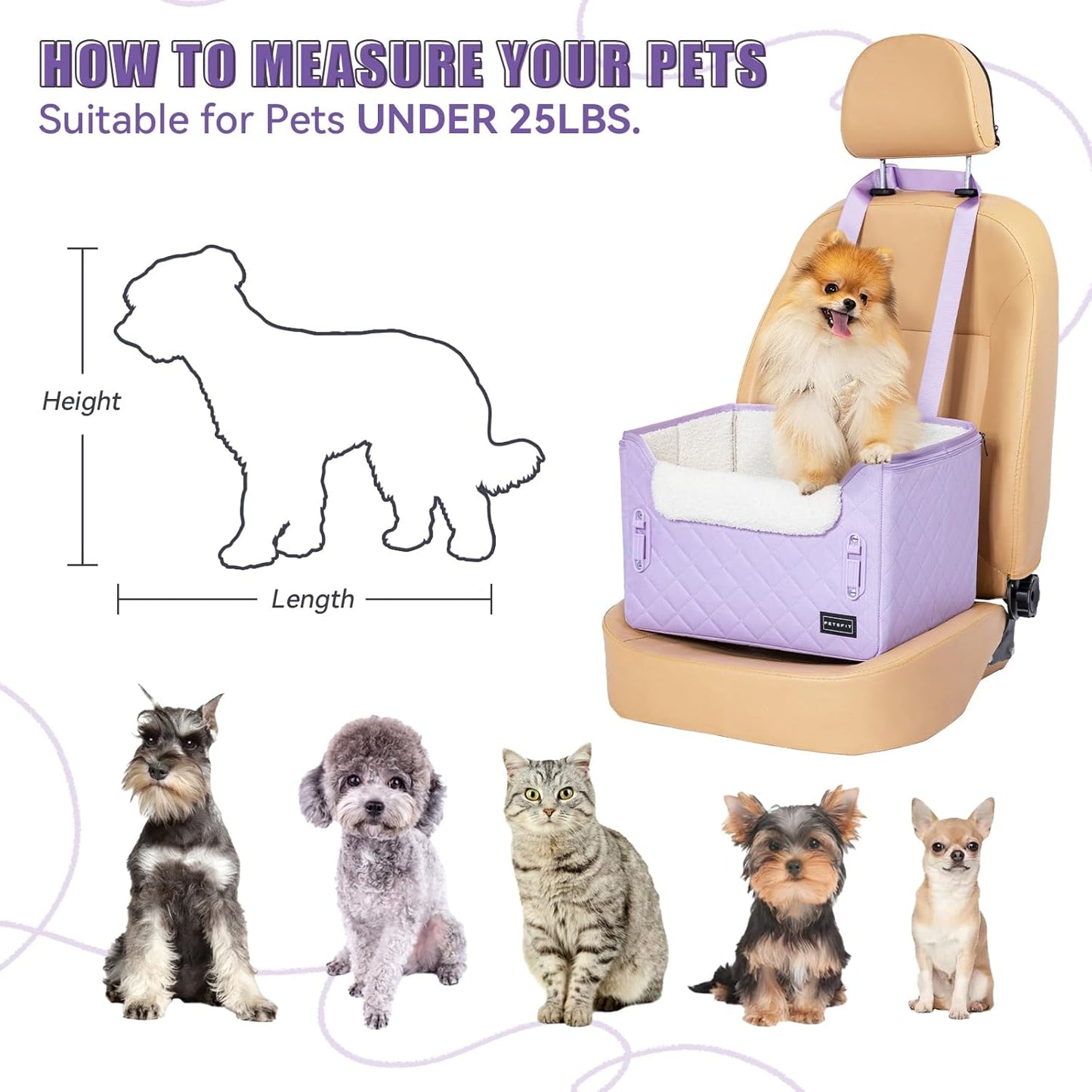 PETSFIT Dog Car Seats for Small Dogs, Patent Safe Buckles Cat Car Seat, Car Seat for Dogs with Safety Belt, Suitable for Small Pets Up to 25lbs (Lavender Purple)
