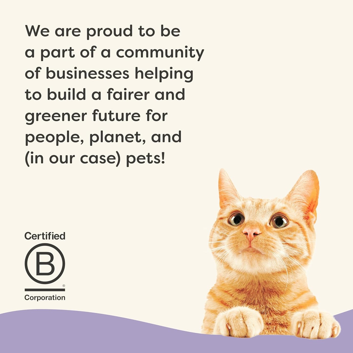 Applaws Vitality Wet Cat Food in Broth, Natural Canned Cat Food, Wet Food for Cats with Added Vitamins and Minerals, Grain Free, Carrageenan Free, Variety Selection in Broth (12 Count, 2.47 oz Cans)