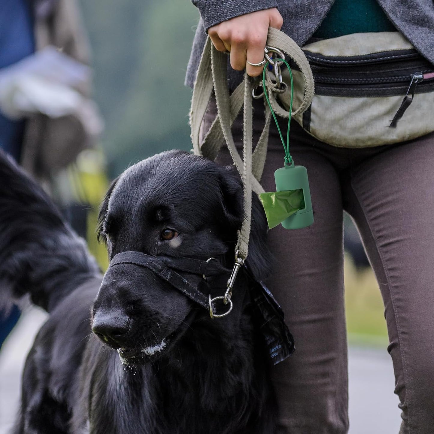 SLSON 3Pack Dog Poop Bag Holder for Leash Lightweight Pet Waste Bag Dispenser with Leash Attachment Portable Plastic Doggie Poop Bag Dispensers,Blue Green Black