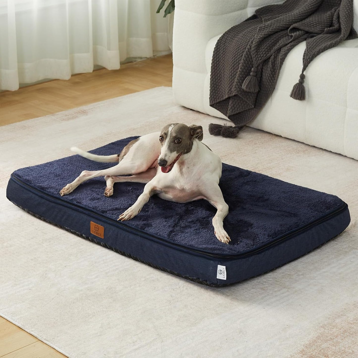 Memory Foam Large Dog Bed - 4” Thick Orthopedic Beds for Large Dogs - Waterproof Dog Bed with Removable Washable Cover & Wrap-Around Zipper - Ultimate Comfort and Easy Maintenance