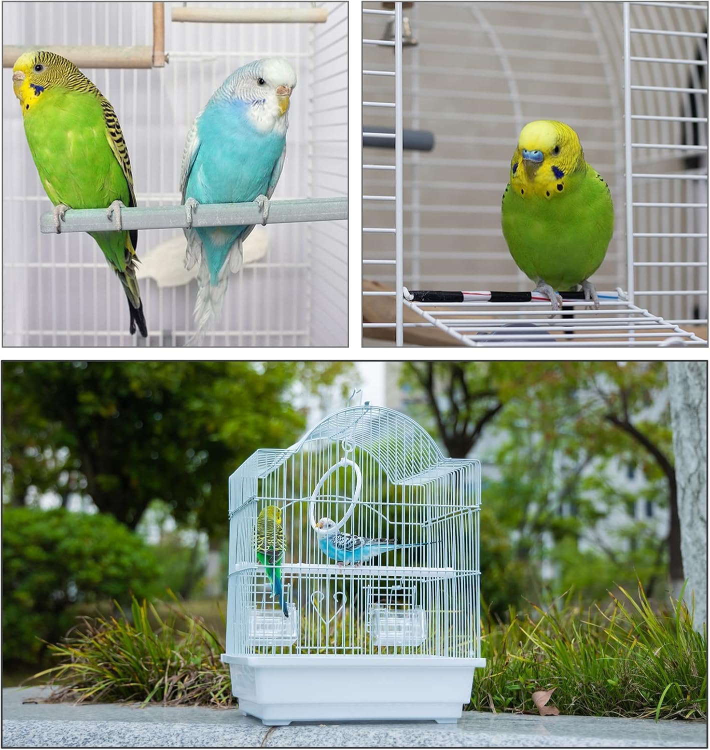 Small Bird Travel Cage-Lightweight Small Birds Starter Kit with Birdcages and Accessories Great for Parakeets Lovebirds Parrotlets Finches Canaries Removable Plastic Tray Include