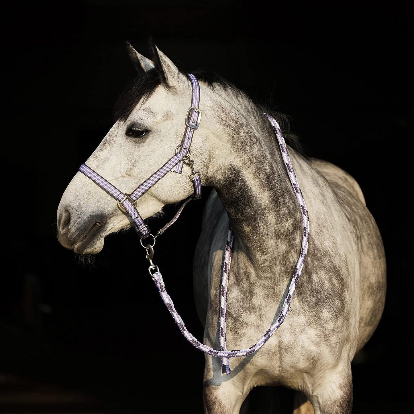 HORZE Adepto Adjustable Horse Halter | Soft, Durable Polyester - Languid Lavender Purple - Warmblood