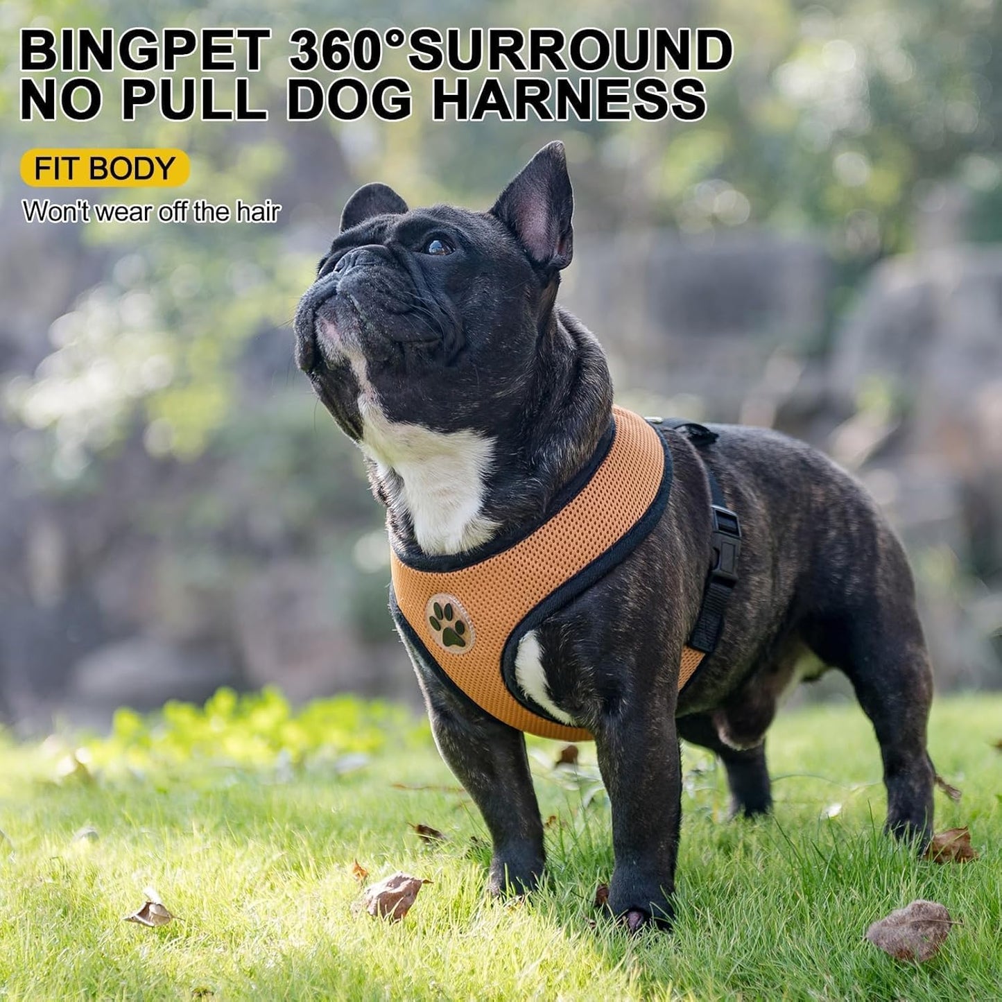 BINGPET No Pull Dog Harness,Soft Mesh Breathable All Weather Vest Harness,Safety Protection Design Durable Adjustable Step-in Easy Walk Dog Harness for Small Medium Large Dogs(Beige,M)