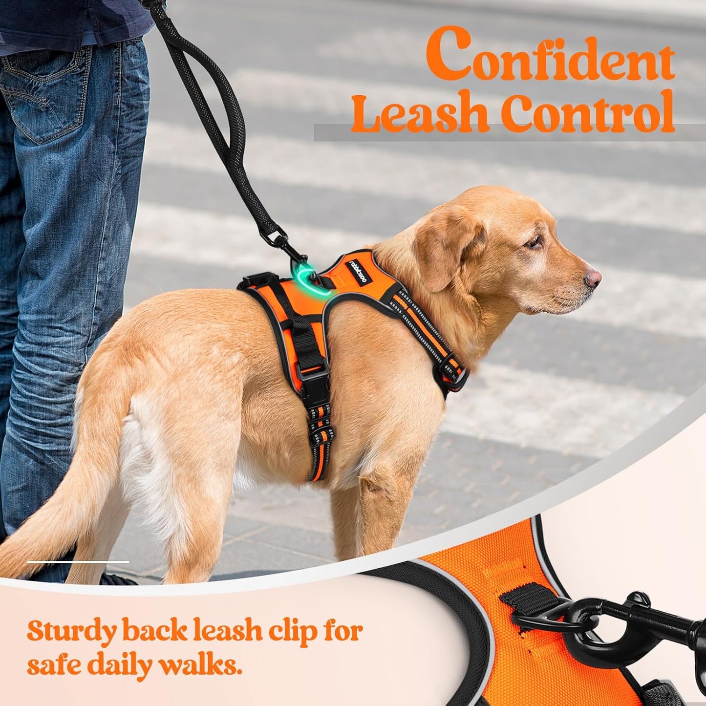 rabbitgoo Dog Harness No Pull with 2 Leash Clips, Adjustable Soft Padded, Reflective Oxford No Choke Pet Vest with Easy Control Handle for Small Dogs,Orange,S