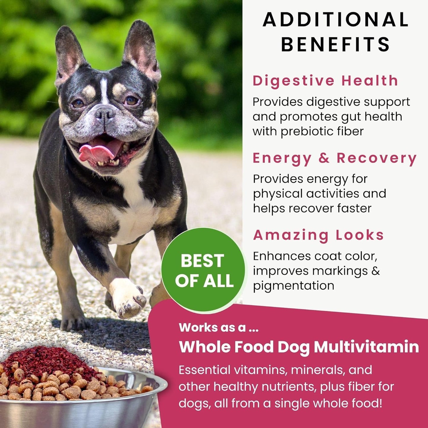 Olewo Original Red Beets for Dogs – Natural Anti Itch for Dogs, Dog Food Topper, Immune, Cleansing, Skin & Coat Support, Dehydrated Whole Food Dog Multivitamin, Fiber for Dogs, 1 lb