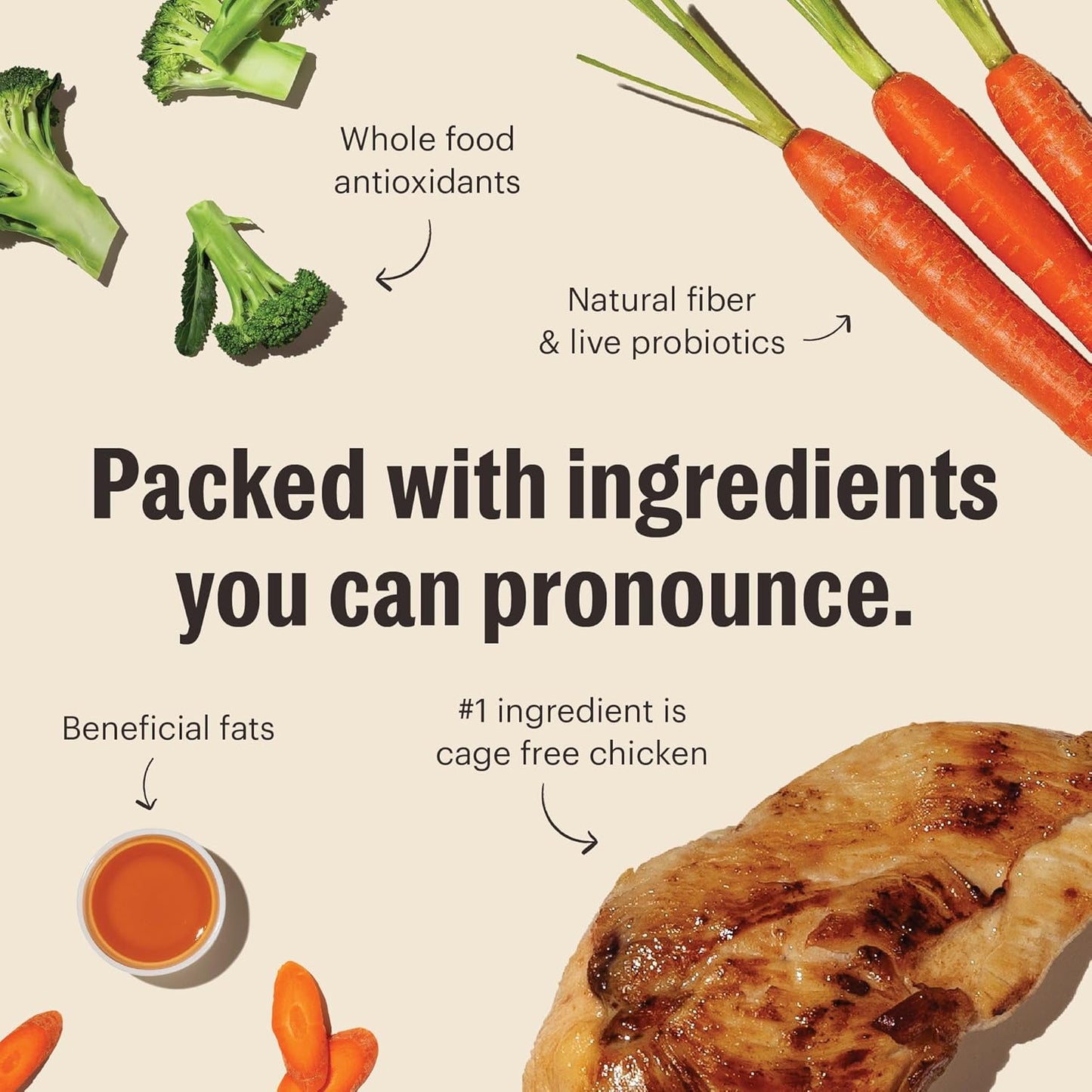 The Honest Kitchen Whole Food Clusters Grain Free Chicken Dry Dog Food, 1 lb Trial Pouch