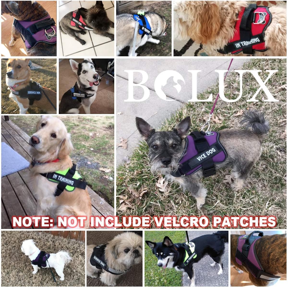 Bolux Dog Harness, No-Pull Reflective Dog Vest, Breathable Adjustable Pet Harness with Handle for Outdoor Walking - No More Pulling, Tugging or Choking (Turquoise, M)