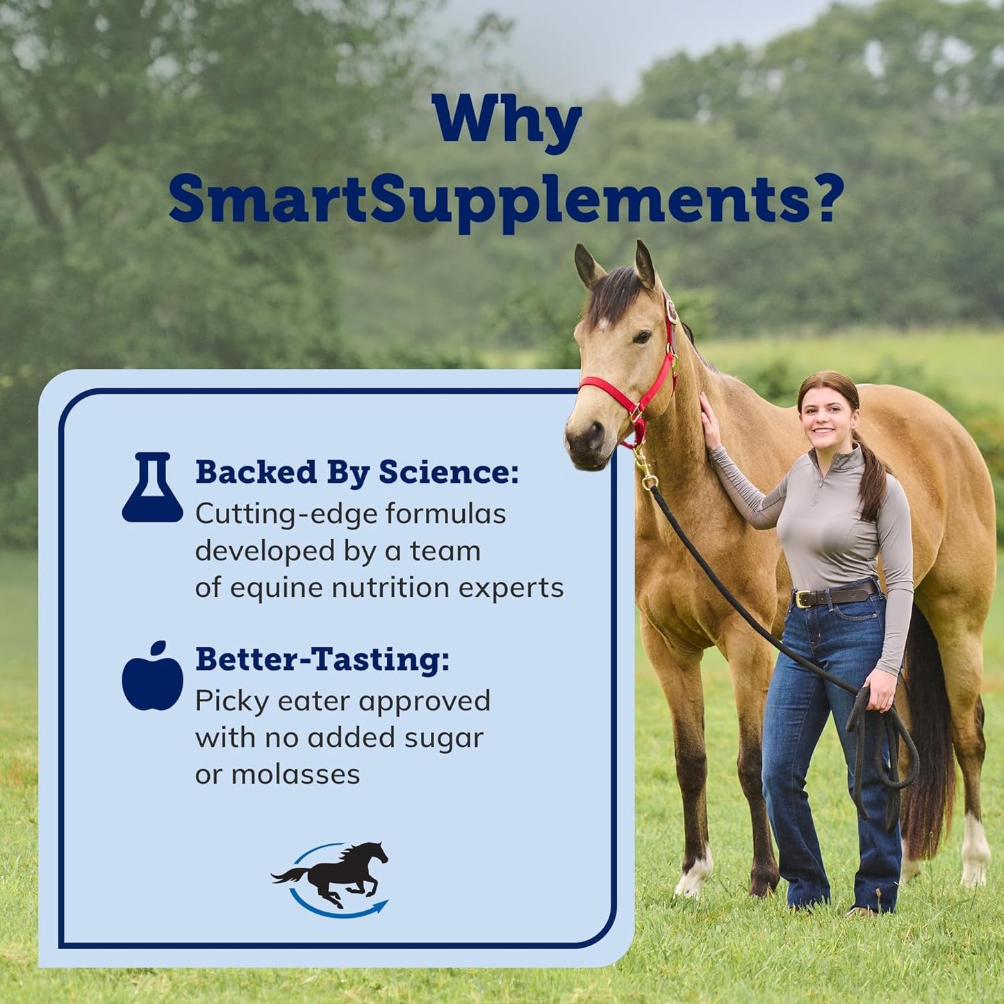 SmartEquine SmartCookies | Healthy Treats for Horses Made from Coconut Meal, Beet Pulp, Alfalfa, and Flaxseed Oil | No Sugar Added Horse Treats | Peppermint Pattie Flavor Cookies for Horses, 3 lb Bag