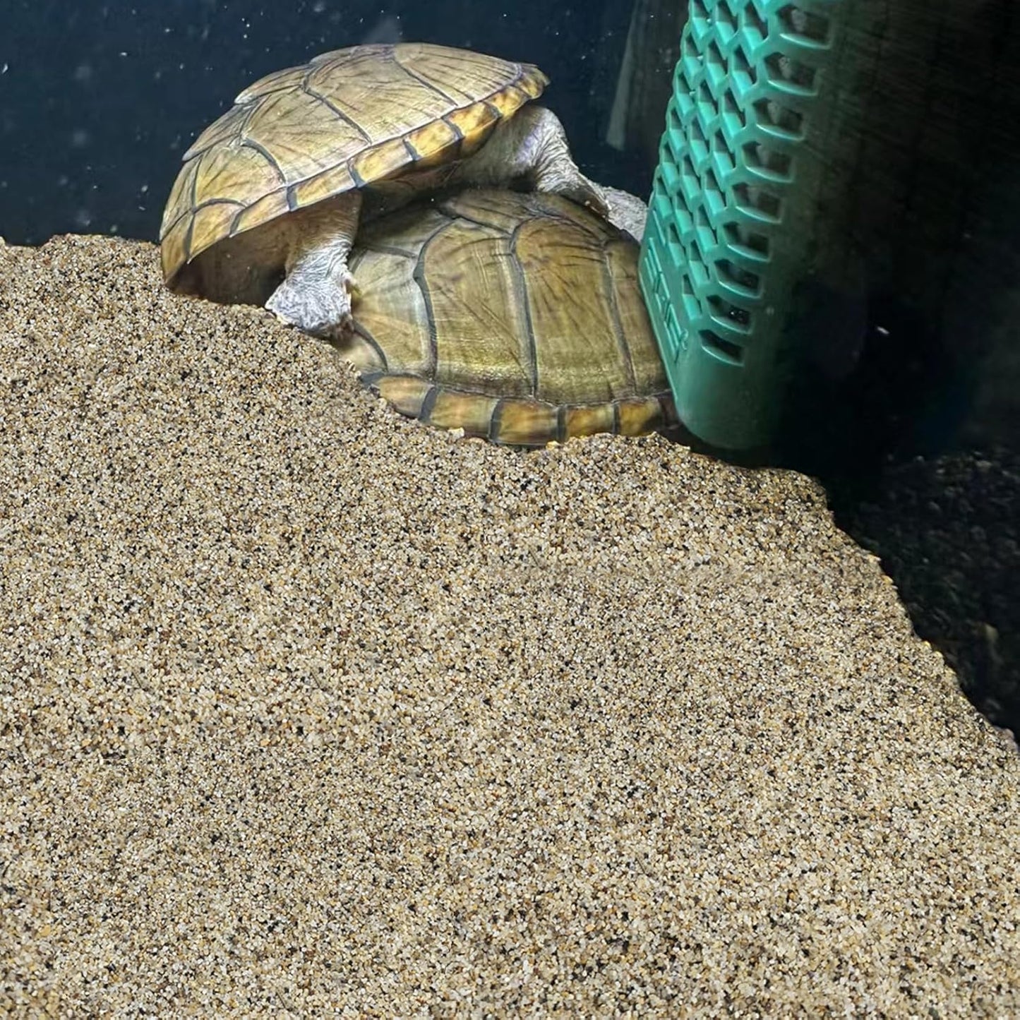 10 lbs Aquarium Sand, 0.6-1.2 mm Aquarium Substrate for Freshwater Fish Tank. Decorative River Rocks Gravel for Fish Tank, Plants Potted, Fire Pits, Candle, Vase and Crafts