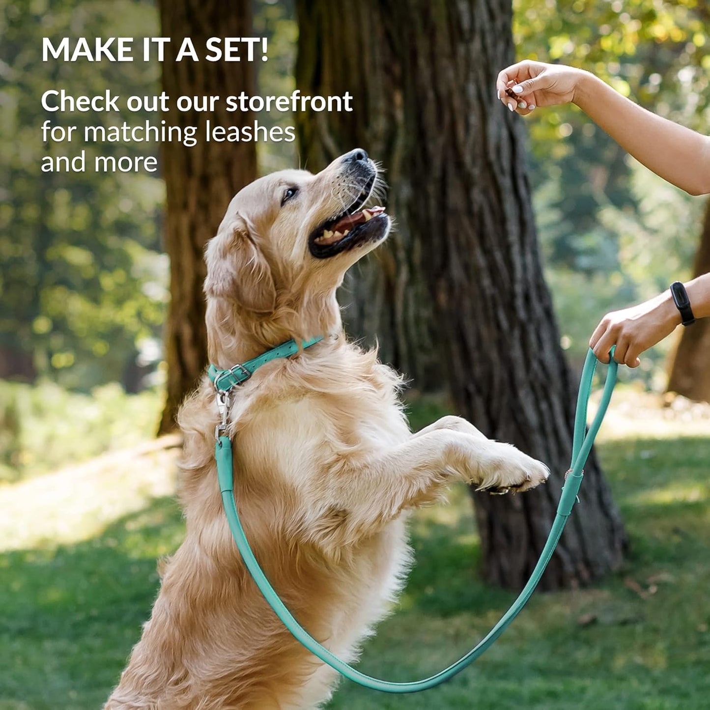 CollarDirect Rolled Leather Dog Collar, Soft Padded Round Puppy Collar, Handmade Genuine Leather Collar Dog Small Large Cat Collars 13 Colors (6-7 Inch, Mint Green Smooth)