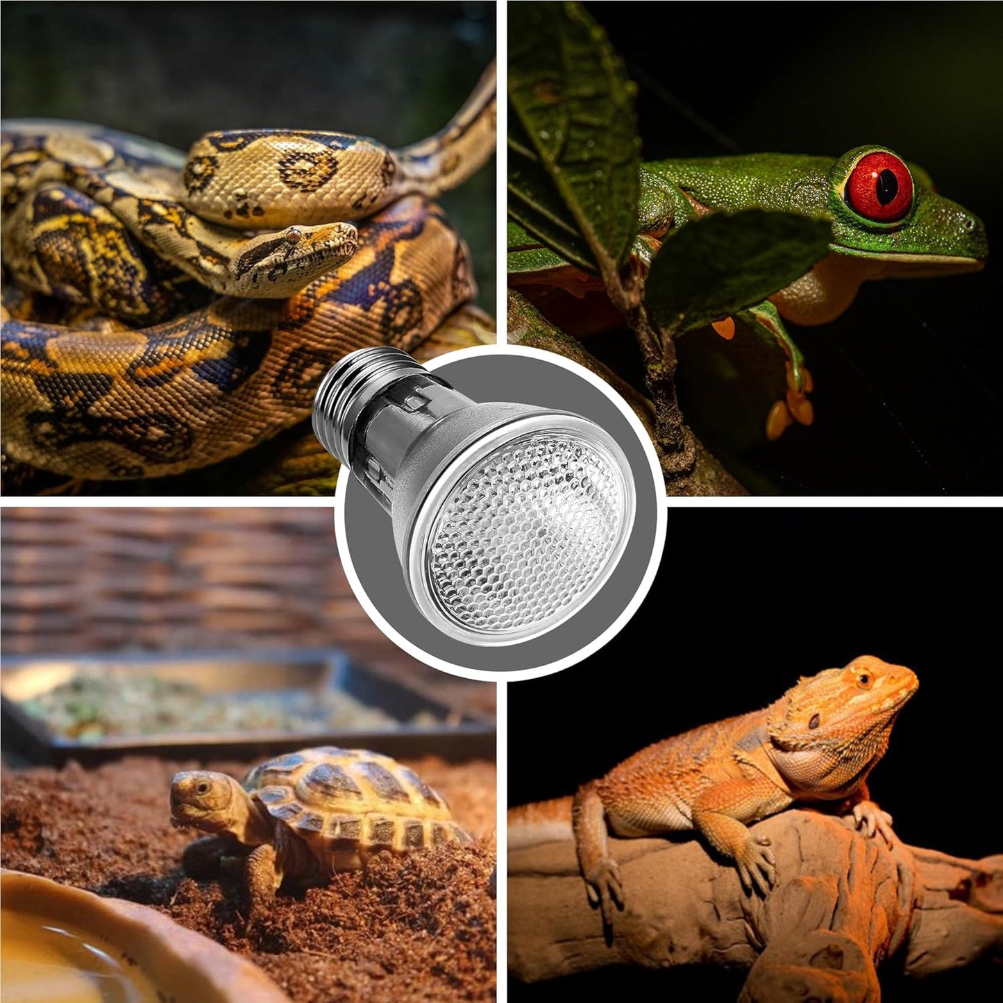 Reptile Heat Bulb 2 Pack, 75W UVA Reptile Light Bulbs, Dimmable Heat Lamp Bulbs Basking Spot Light Bulb for Reptiles, Amphibian, Bearded Dragon, Lizard, Chicken