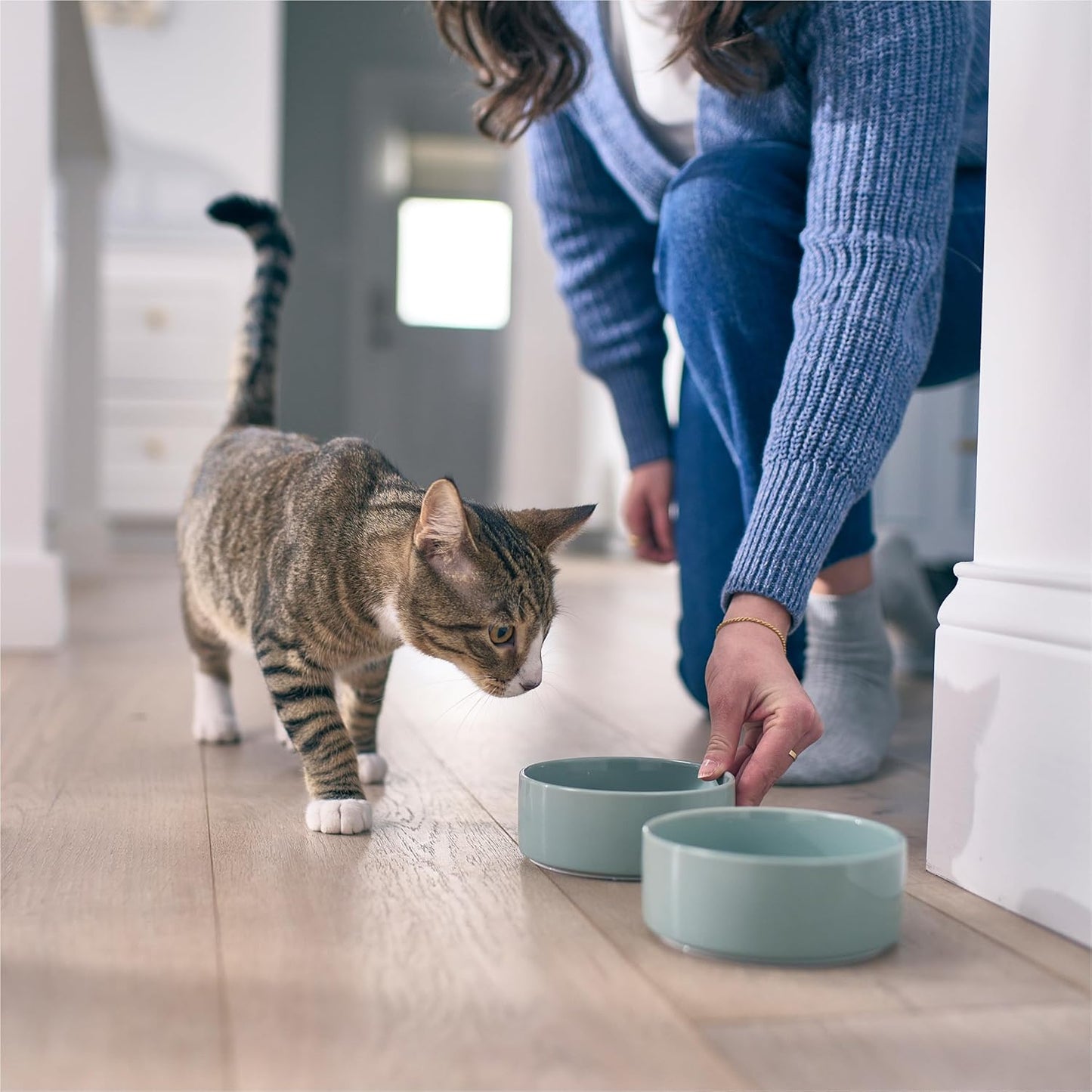 Petivity Microbiome Analysis Kit — Basic for Cats and Dogs, Powered by Purina - 4.8 oz. Box