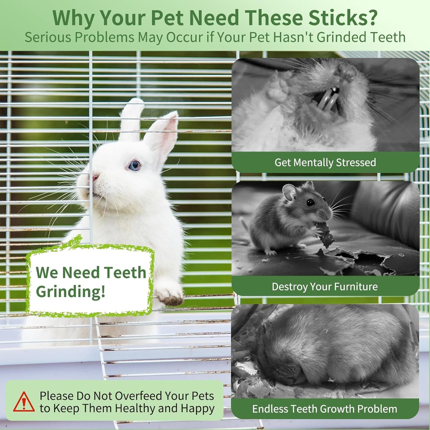 Natural Apple Wood Chew Sticks 300g (10.5oz) for Rabbits, Hamsters, Chinchillas, Guinea Pigs - Small Animal Dental Toys, Safe Untreated Teeth Grinding & Boredom Relief, Rodent Molar Health (300g)