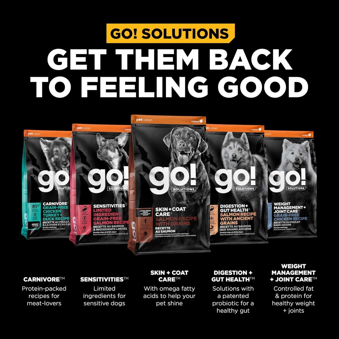 Go! Solutions Skin + Coat Care, Dry Dog Food, Large Breed Adult Salmon Recipe with Grains, 12 lb Bag