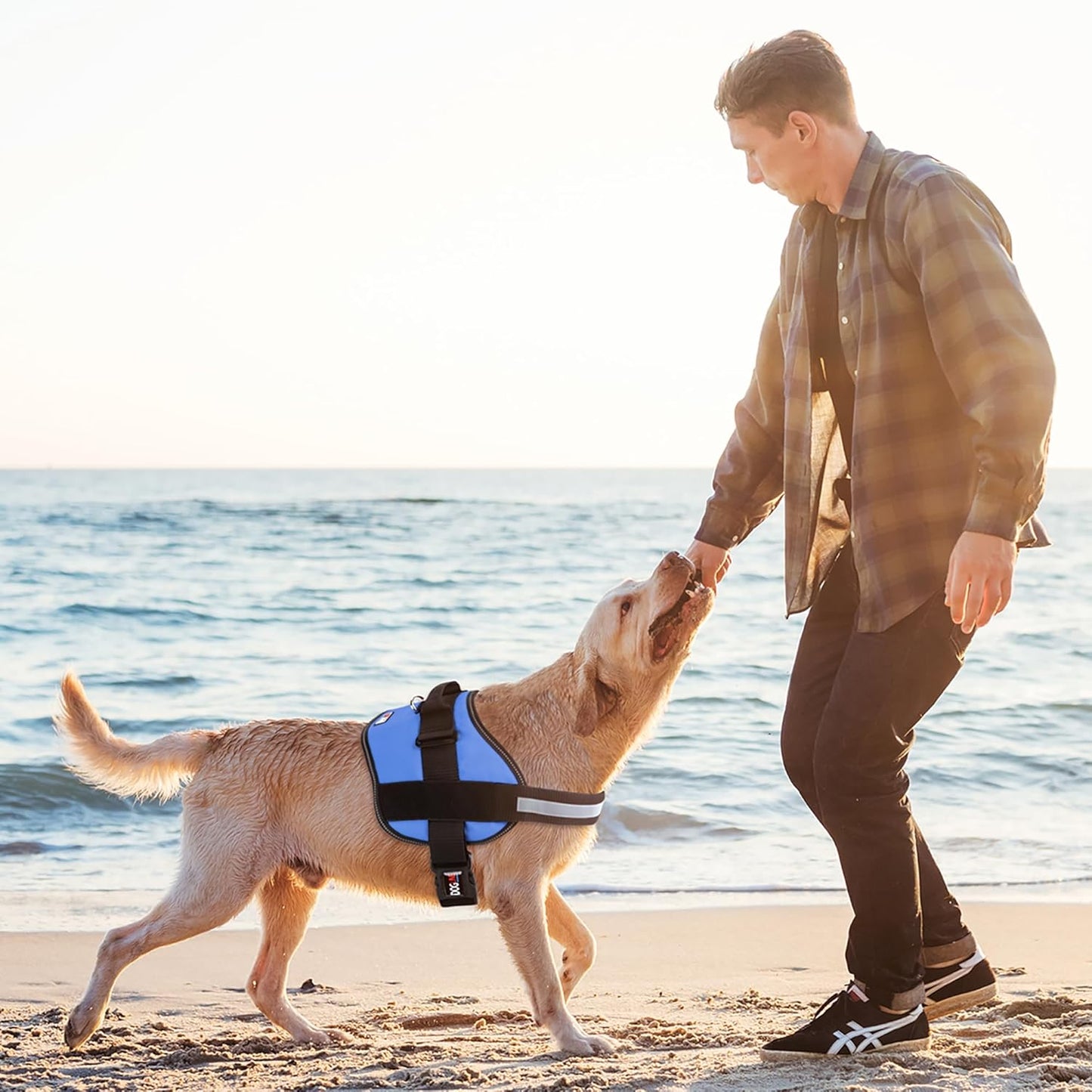 Dogline Dog Harness, Reflective No-Pull Adjustable Vest with Handle for Walking, Training, Breathable, No - Choke Harness for Small, Medium or Large Dogs Room for Patches Girth 27 to 34 in Cyan Blue