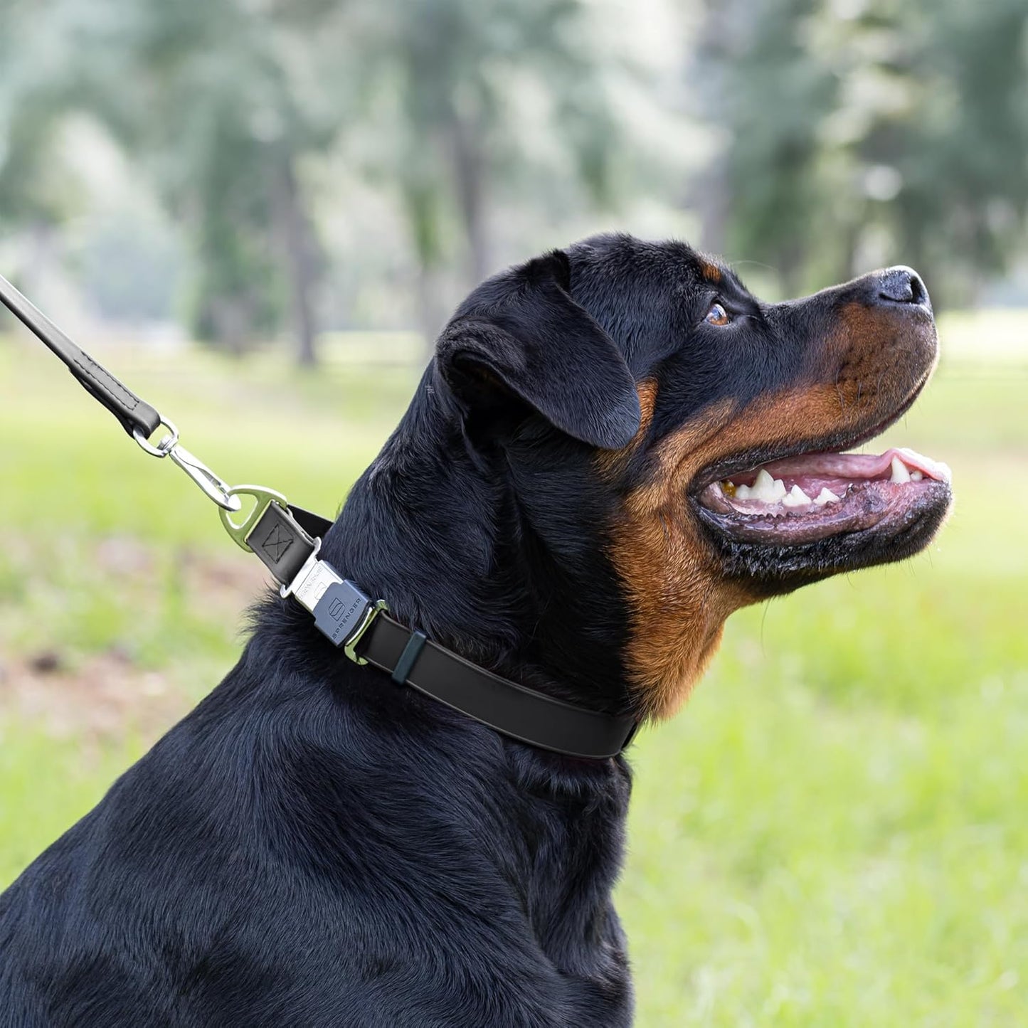 Dogline Biothane Waterproof Dog Collar with Herm Sprenger Black Stainless Steel Quick Release Buckle – Heavy Duty Tactical Durable Collar for Dogs – Comfortable and Safe Pet Collar W 1" L 15-25" Black