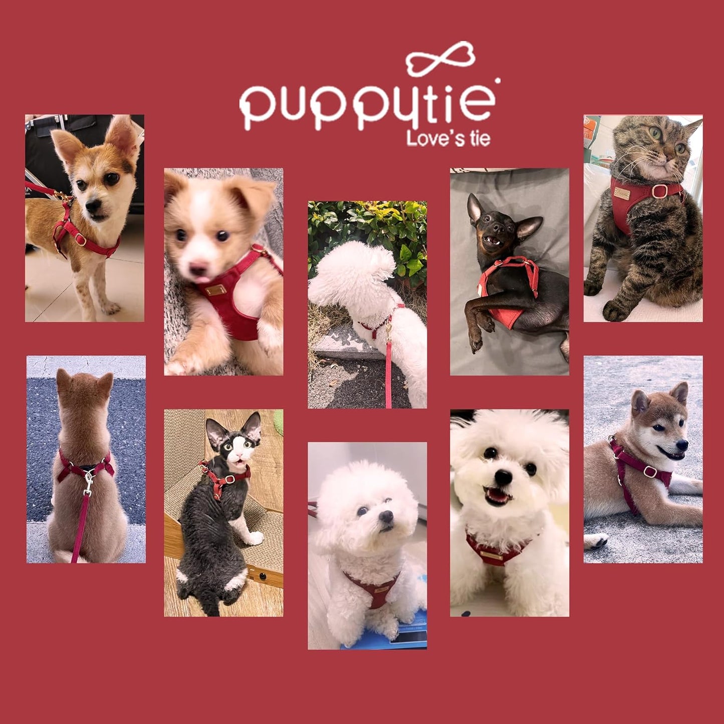 Puppytie No Pull Dog Harness with Multifunction Dog Leash,Soft Adjustable No Choke Escape Proof Pet Harness Vest for Medium Dogs or Large Dogs,red Hawthorn,M