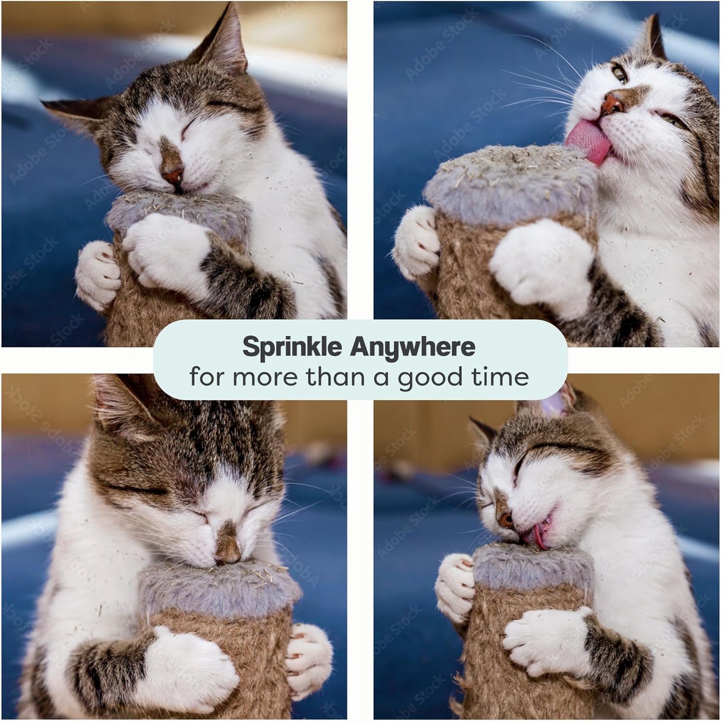 Organic Catnip for Cats & Kittens – 1.76 oz Premium Natural Catnip, High Potency Blend for Playtime, Training, and Stress Relief, 2 Cups of Dried Cat Nip Leaves