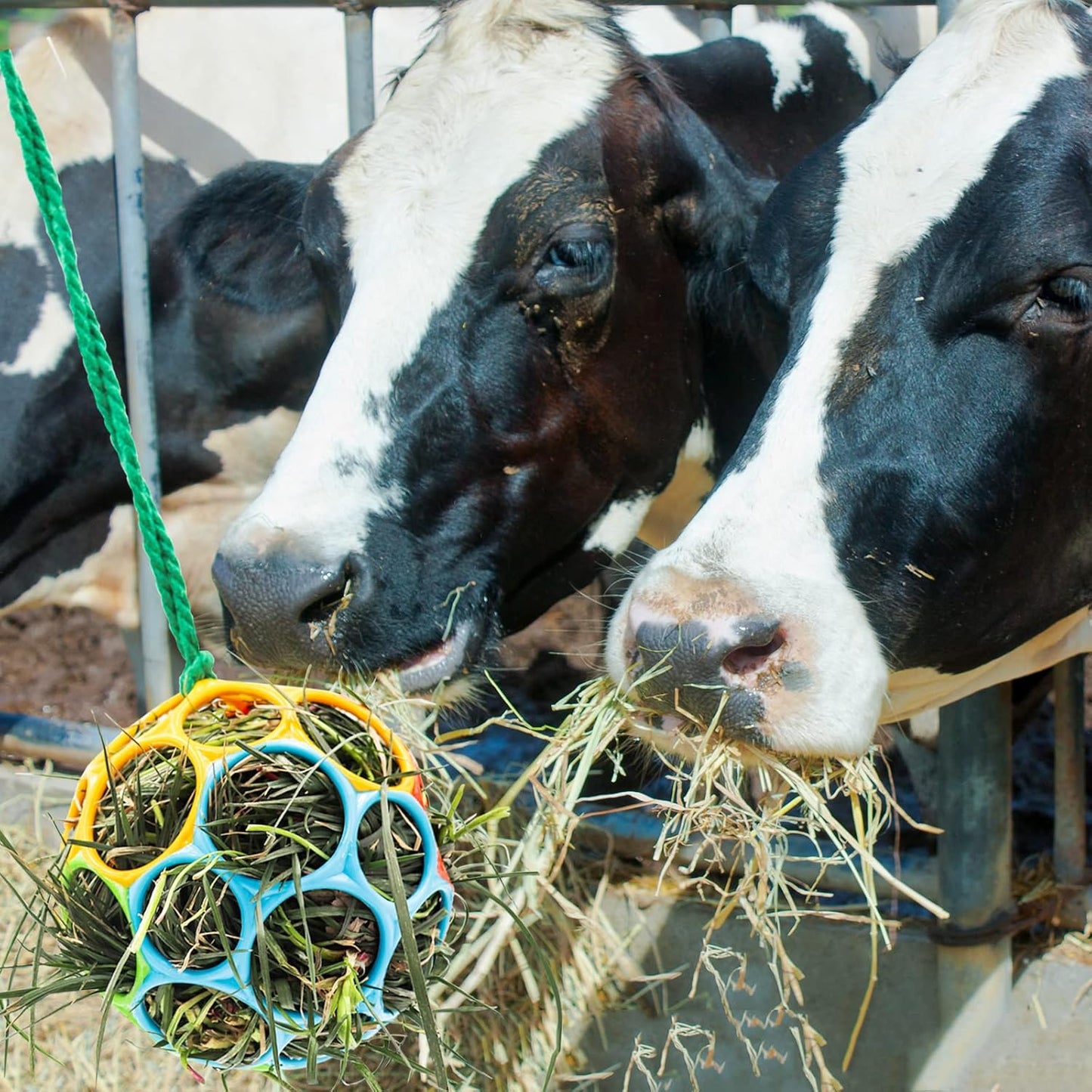 Besimple 2 Pack Horse Treat Ball Hay Feeder Toy, Goat Feeder Ball Hanging Feeding Toy for Horse Goat Sheep Relieve Stress (Colorful)