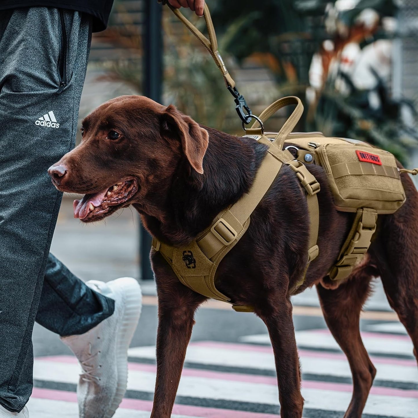 OneTigris Service Dog Vest Harness, Service Dog Cape Guardian Dog Backpack Harness with Pouches Dog Saddle Bag for Small Medium and Large Dogs (Brown, M)