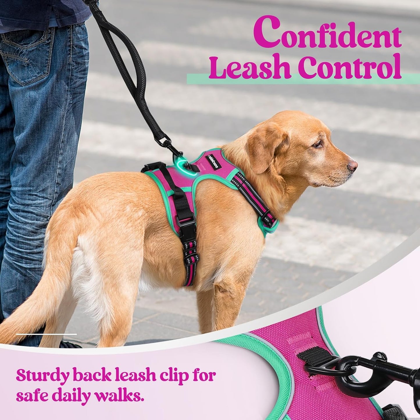 rabbitgoo Dog Harness No Pull with 2 Leash Clips, Adjustable Soft Padded, Reflective Oxford No Choke Pet Vest with Easy Control Handle for Large Dogs, Hot Pink & Turquoise, XL