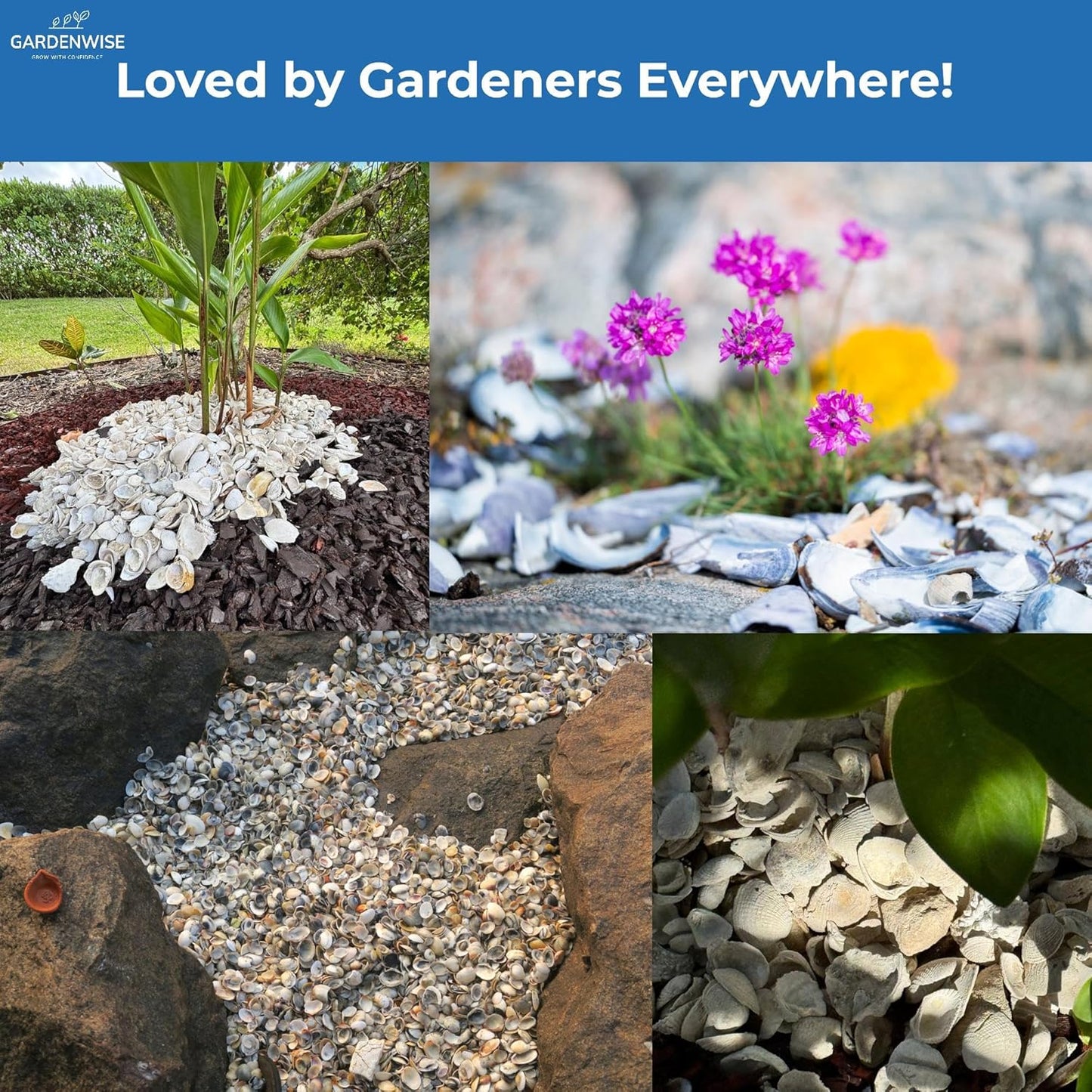 Natural Organic Sea Shell Mulch for Gardens and Landscaping – Decorative and Nutrient-Rich, 0.5–3-Inch Shells, Perfect for Indoor and Outdoor Use(1 CF - 28 L - 30 QTS)