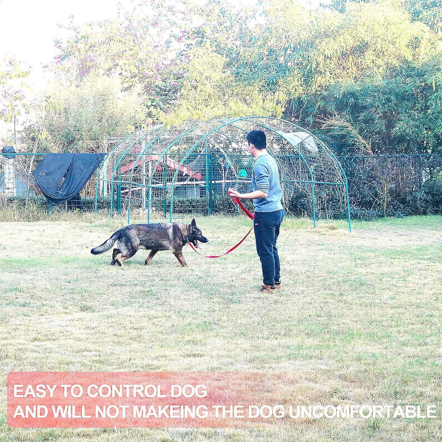 Dog/Puppy Obedience Recall Training Agility Lead - 15ft 20ft 30ft 40ft 50ft Training Leash - Great for Play, Camping, or Backyard - Pink 30ft