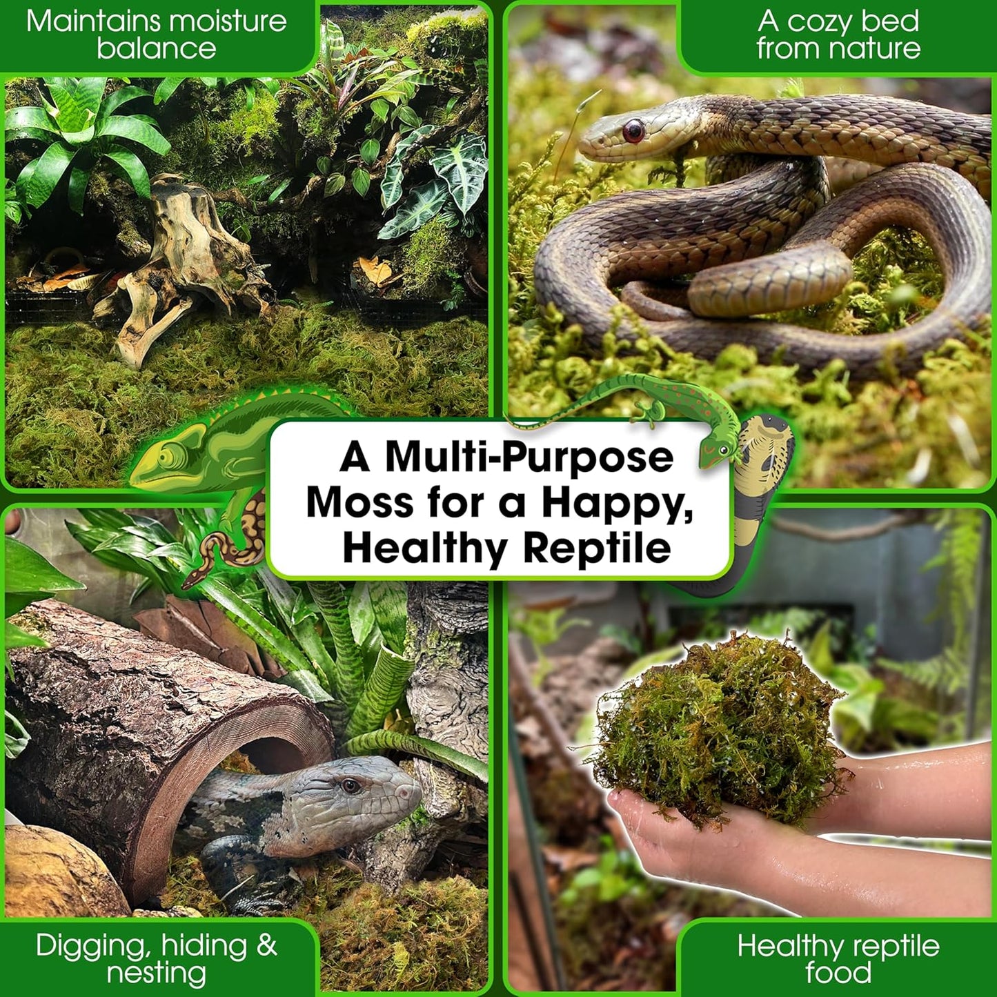 Duspro Reptile Decor Set Including 10FT Reptile Vine Climbing Bendable Branch & 04 OZ Natural Dried Forest Moss Bag Ideal for Bearded Dragon Chameleon Snake Gecko Lizard Terrarium Tank Accessories