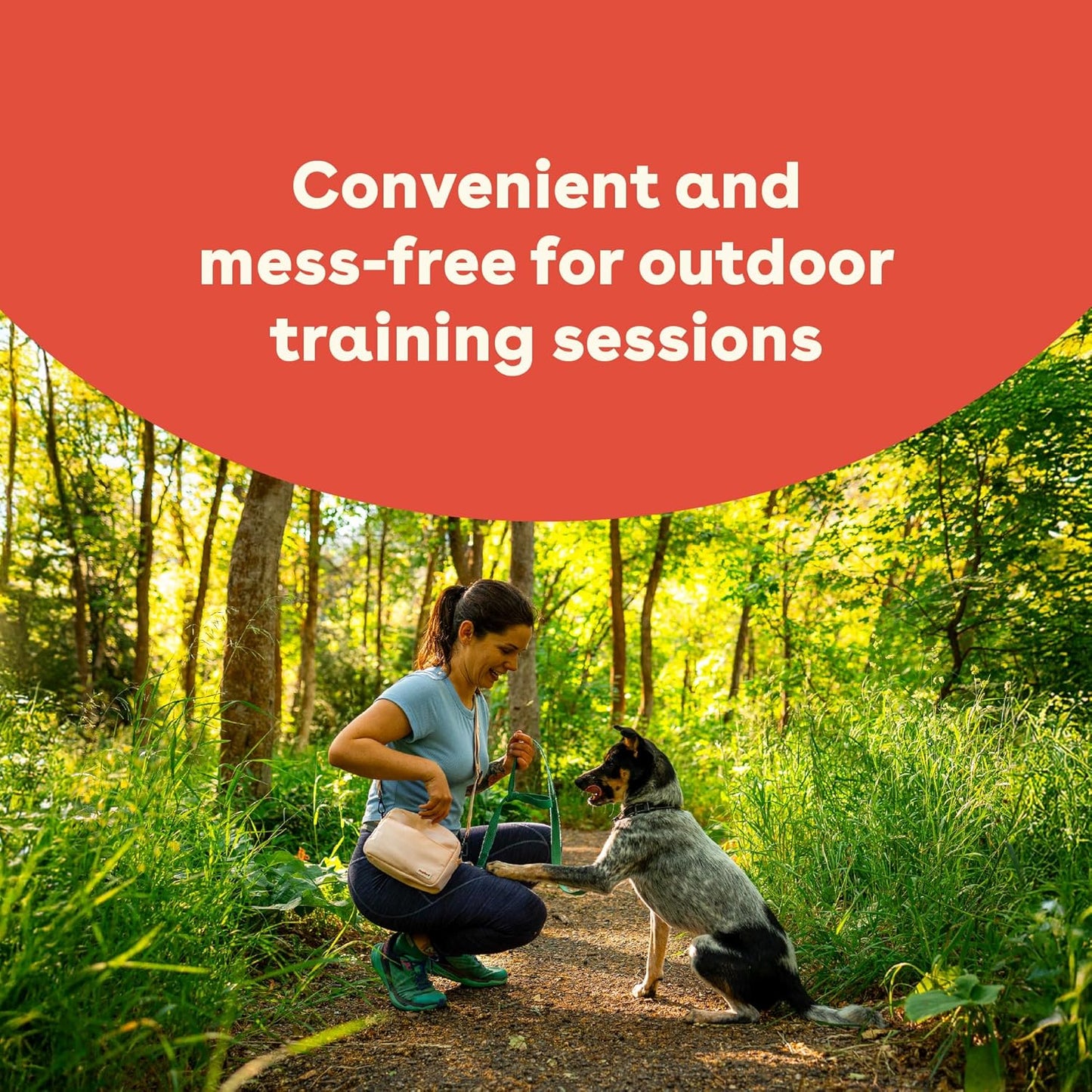 Pupford Soft & Chewy Training Treats for Dogs & Puppies (Beef, 10 oz)