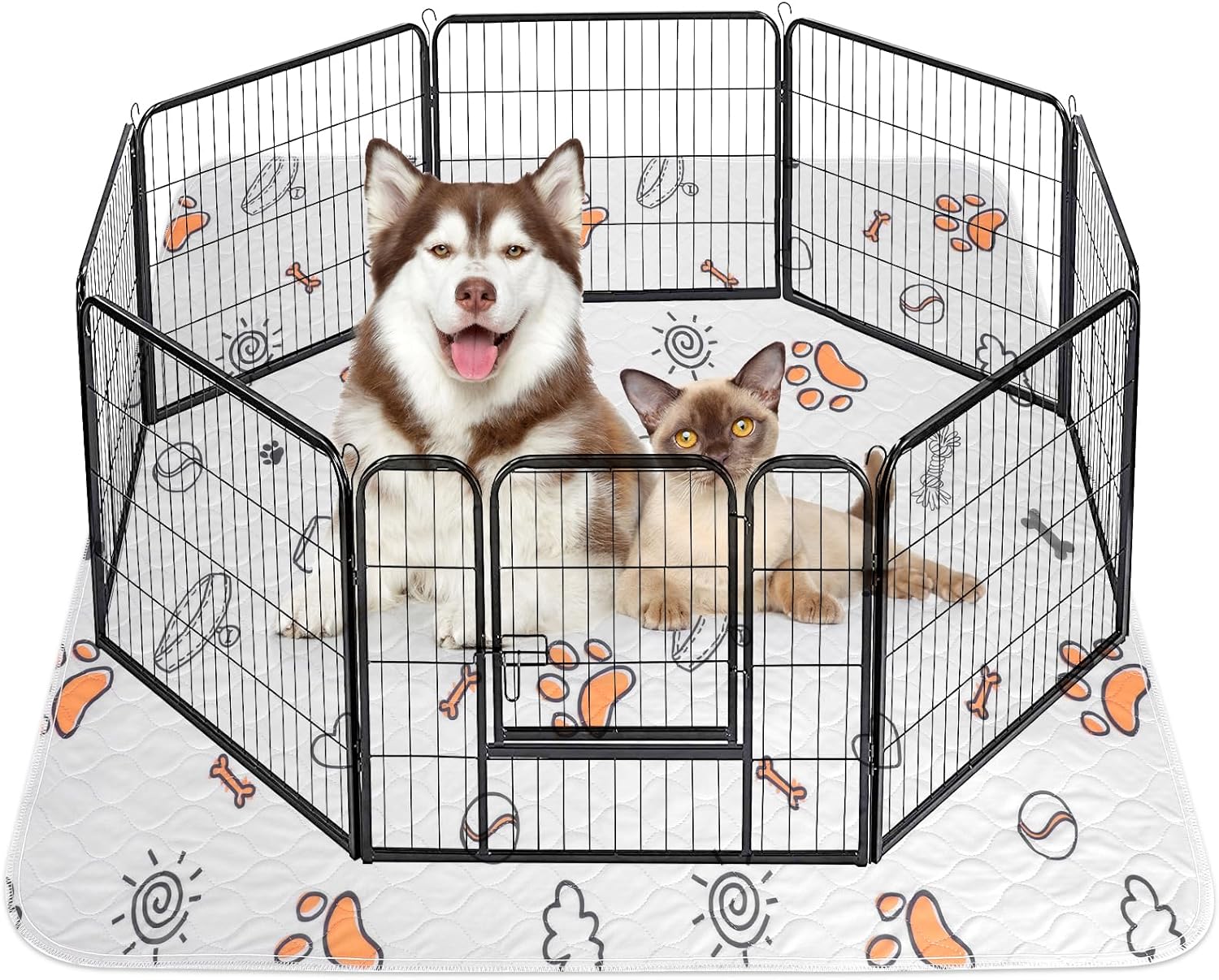 Litter & Housebreaking