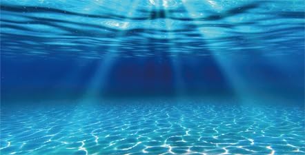 Natural Undersea Aquarium Background, Underwater Ocean Sunlight Fish Tank Background 72X24IN with 8 EVA Double-Sided Tape