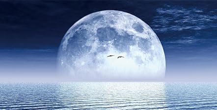 Moon Aquarium Background,Cool Sea Galaxy Parallel Space Themed Fish Tank Background, Cool Terrarium Background 36X20IN with 8 EVA Double-Sided Tape