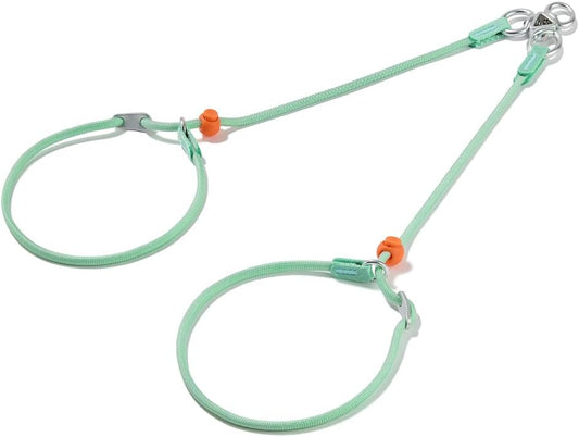 Howgo Double Slip Leash Slip Lead | Dual Dog Lead for 2 Dogs,360° Swivel No Tangle | Dog Training Nylon Leash and Collar | Double Clip Coupler and Splitter | Lightweight Aluminum (MintGreen, 3FT)