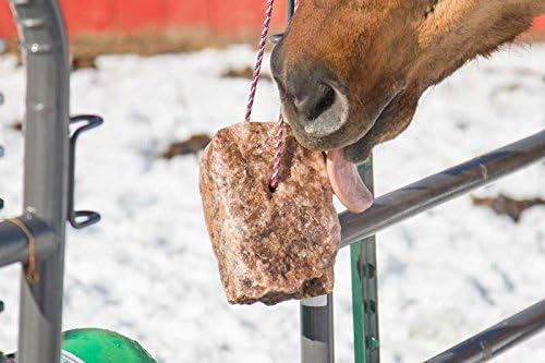 REDMOND - Rock on a Rope Unrefined Salt Rock for Horses 3 to 5 lbs (3 Pack)