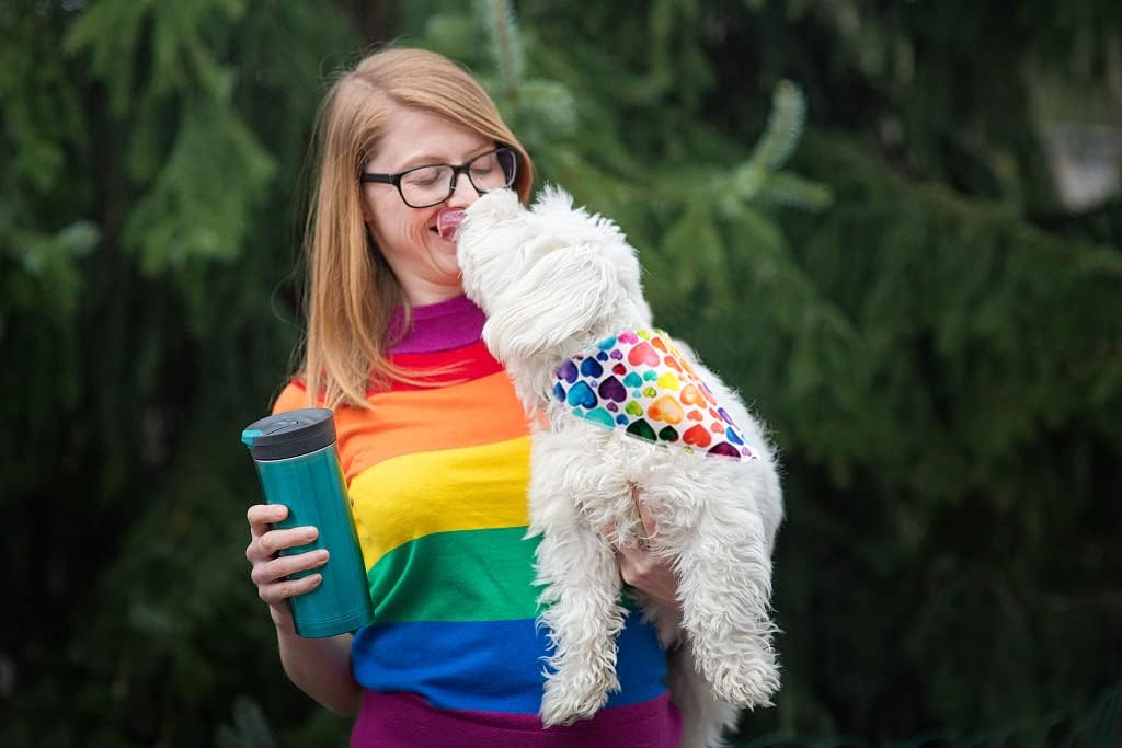 Lionet Paws Valentine's Dog Bandana,Fabric Love Dogs Kerchief for Small Medium Dogs,Dog Triangle Cotton Scarf for Girl Boy