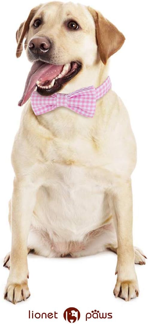 Lionet Paws Dog Collar with Bowtie, Comfortable Adjustable Cute Pink Gingham Bow Tie Collar for Female Dogs Gift, XLarge, Neck 16-26 inches